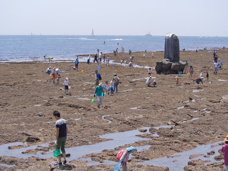 浪子不動で磯遊び