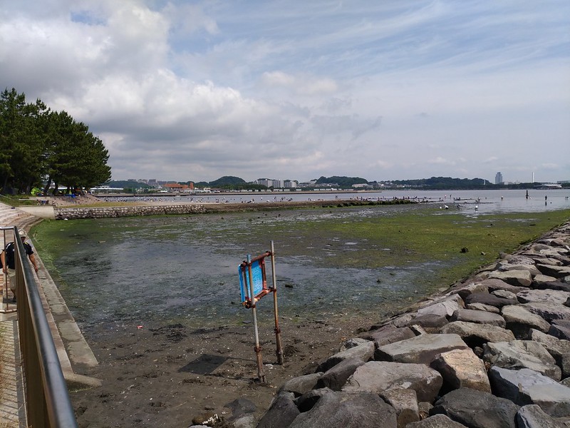 野島公園にがっかりして､森戸川へ