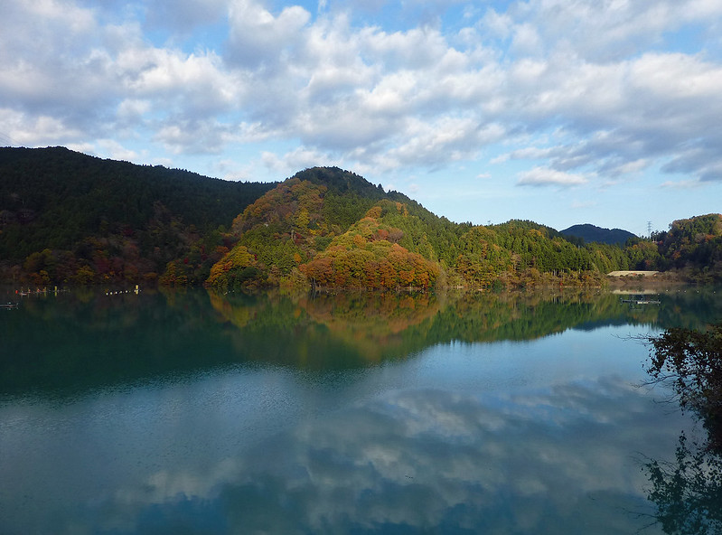 宮ヶ瀬湖･早戸川林道でルリビタキとベニマシコ